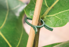 CLIPS PARA PLANTAS 20 MM DIÁMETRO